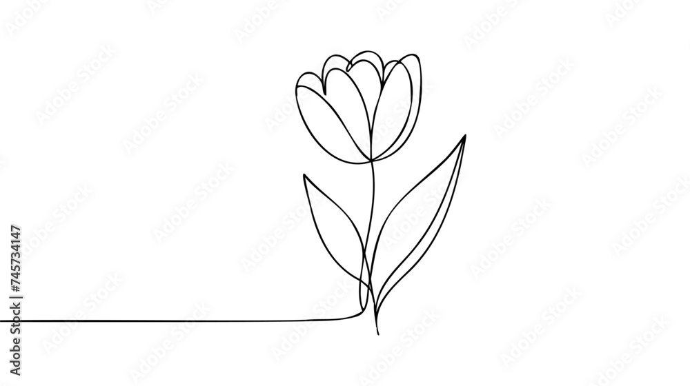 Tulip flower line art. Minimalist contour drawing. One line artwork Tulip flower line art. Minimalist contour drawing. One line artwork