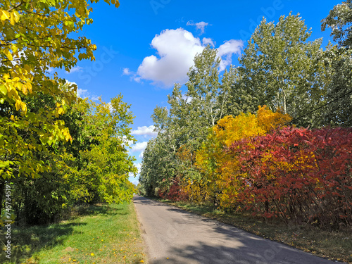 autumn landscape in rural village Backi Petrovac, Vojvodina photo