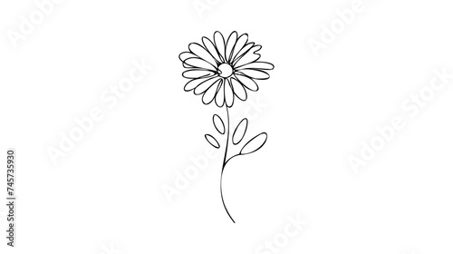 Daisy flower in continuous line art drawing style. Chamomile One line drawing art. Minimalist black linear sketch.