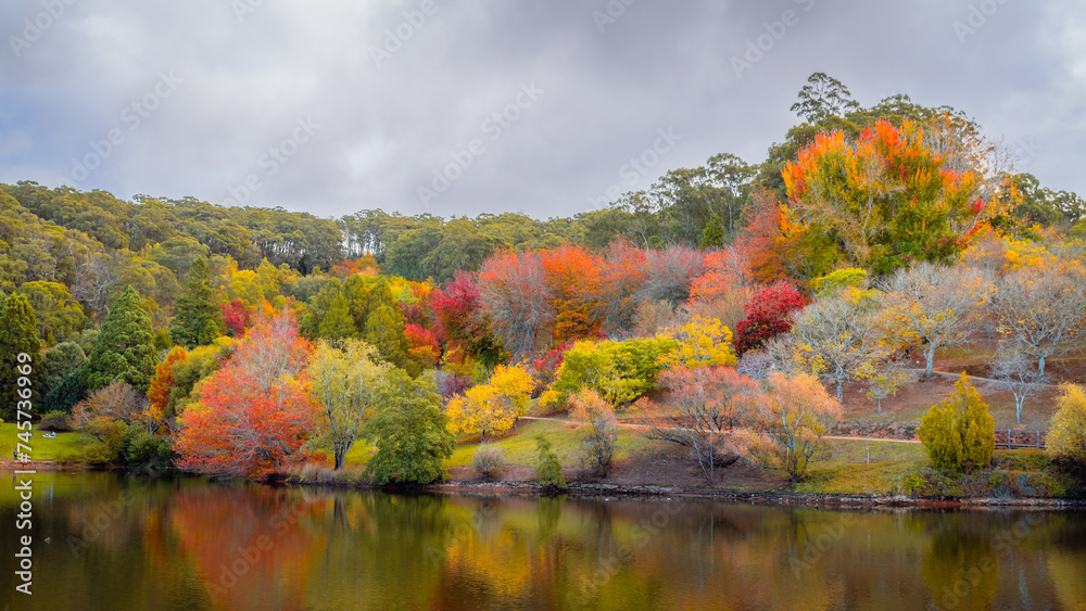 Colourful Australian autumn by the pond in Mount Lofty