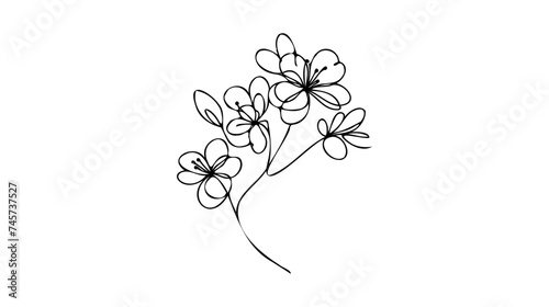 Hand drawn cherry blossom. Sakura branch with flower one continuous line art. Blooming Apple tree Vector illustration