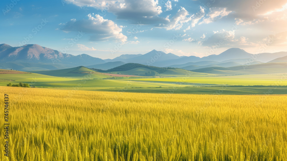 Scenic landscape of endless fields of ripe wheat against the backdrop of mountains