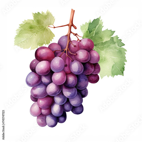 watercolor grape clipart for graphic resources сreated with Generative Ai