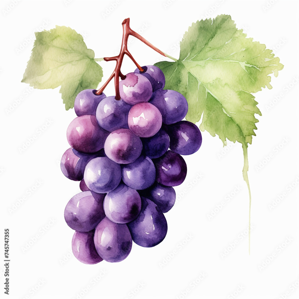 Fototapeta premium watercolor grape clipart for graphic resources сreated with Generative Ai