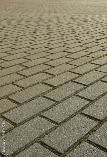 A large area, covered with a quality paving stone in daylight