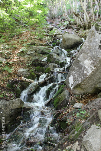 small waterfall in the middle of the forest