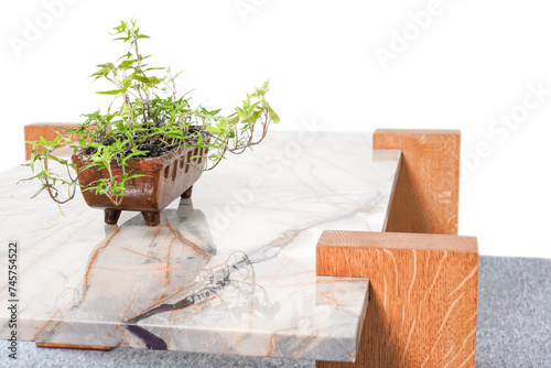 Sintered Stone Quartz Top Coffee Table with solid woods legs. Isolated with clipping path. photo