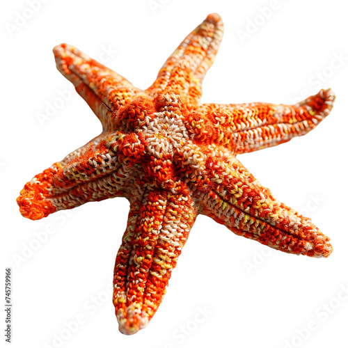 Starfish illustration. For decoration and design