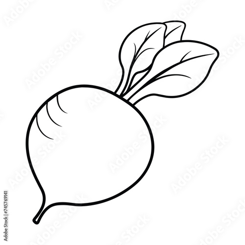 Vector of radish illustration coloring page for kids
