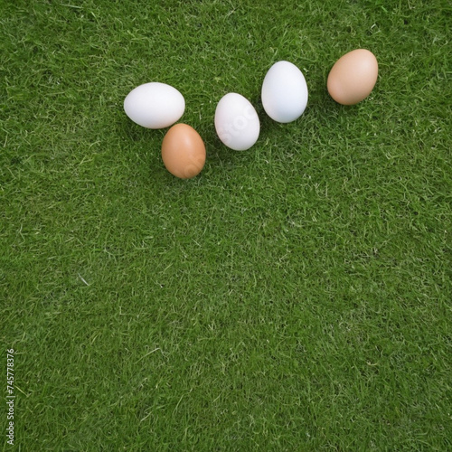 photo of a easter eggs in grass