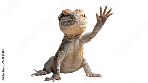 A curious lizard with its hand raised in a pose reminiscent of a mammal or amphibian  showcasing the fascinating diversity of wildlife in the animal kingdom