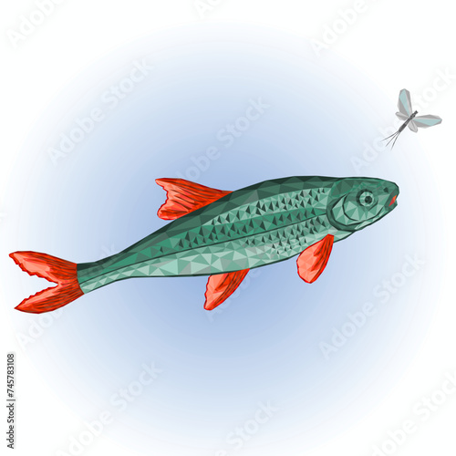Fish Chondrostoma nasus and ephemera outline low-polygon vector illustration editable hand draw