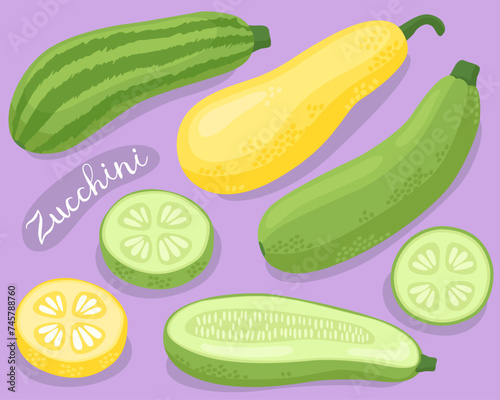 Zucchini. Squash. Fresh organic vegetable. Green and yellow zucchini with slices. Ingredient for cooking.