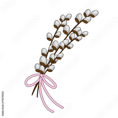 Bouquet of Willow twigs. Easter pussy willow. Vector spring holiday illustration in cartoon flat style isolated on a white background.