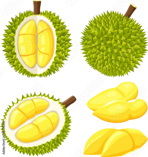 durian isolated on white background