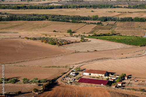 small farm in the Henares valley, Jadraque, Guadalajara province, Spain photo