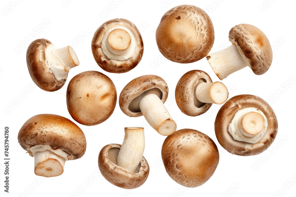 Top view. Collection of shiitake mushrooms isolated on transparent background. Top view. Collection of shiitake mushrooms isolated on transparent background.