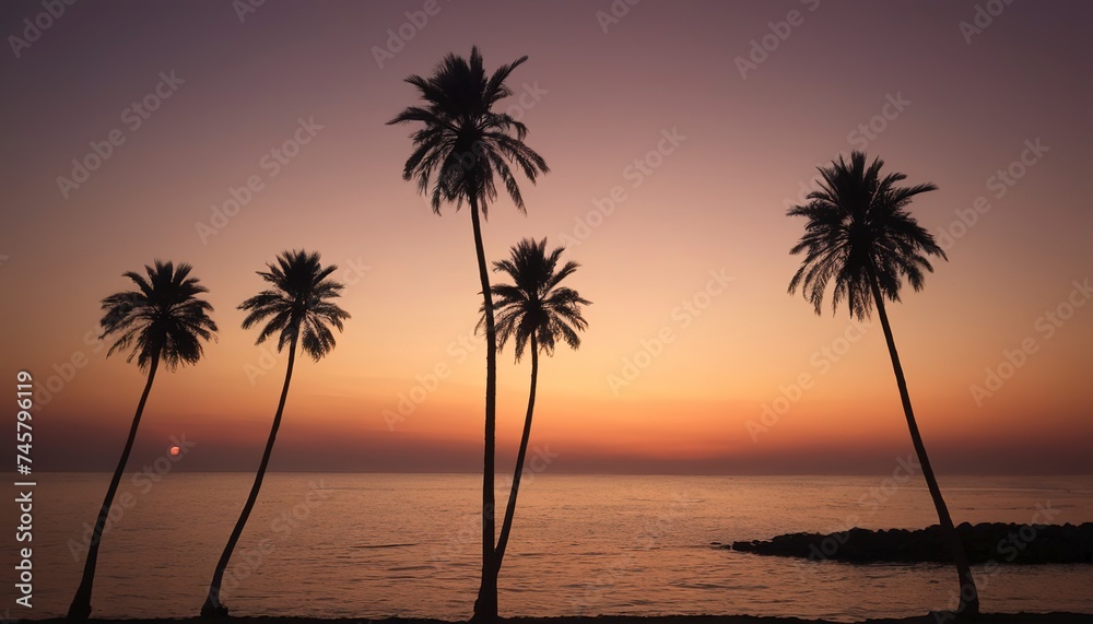 Sunset on the seacoast with silhouettes of palm trees