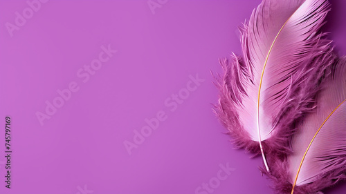 Feathers on a purple background, suitable for design with copy space, Mardi Gras celebration © fajrulisme