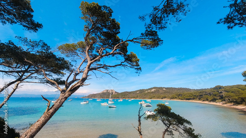 Fototapeta Naklejka Na Ścianę i Meble -  Landscapes, summer Mediterranean sea and beaches of the island of Porquerolles, in Hyères, in the Var in France