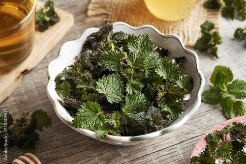 Fotografija Fresh young stinging nettle leaves harvested in early spring