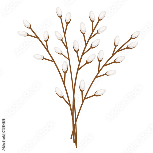 pussy willow twigs isolated on white. spring element for postcard, banner, instagram, pattern, background, congratulation, in a simple flat style