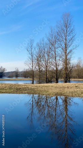 Floodwaters of the Narew River in Poland. Autumn landscape of trees by the river.