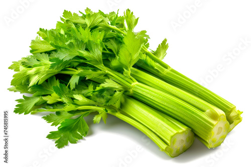 Close up shot of celery stalks with shadows on white background