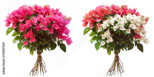 ummer season flowers bouquet made with  Bee Bougainvillea isolated on transparent background