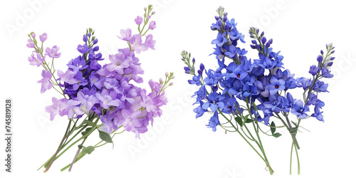 summer season flowers bouquet made with Larkspur , isolated on transparent background