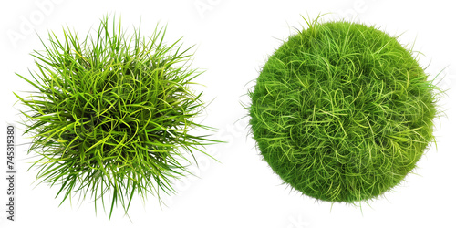 Set of Grass circle isolated on transparent background