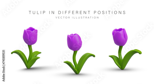 Vector 3D tulip in different positions. Spring flower in plasticine style