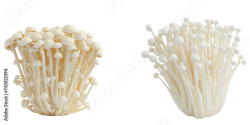 set of enoki mushroom isolated on transparent background photo