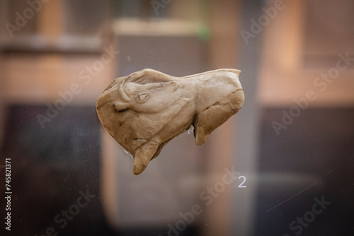 bison on reindeer antler, Upper Palaeolithic Magdalenian, Museo de la evolución humana, MEH, Burgos , Spain