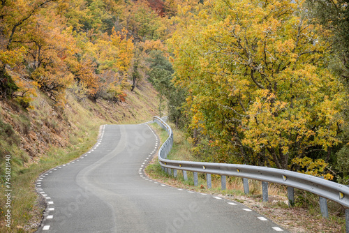 road crossing an oak grove in autumn, Las Merindades, Burgos, Spain