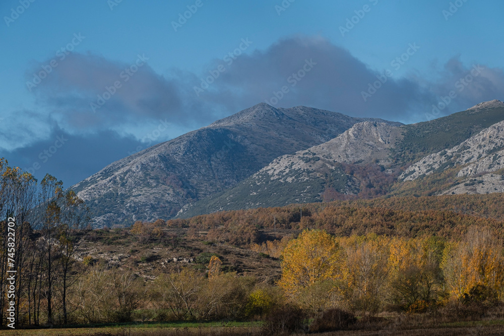 Natural Park of Fuentes Carrionas and Fuente Cobre - Palentina Mountain, municipality of San Cebrián de Mudá, province of Palencia, Spain,