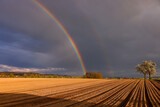 a double rainbow over an agricultural field with one single tree