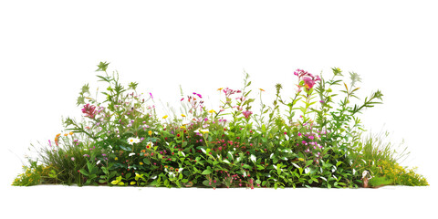 a bush made with grass and wildflowers isolated on transparent background