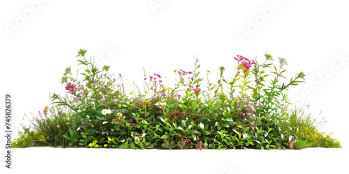 a bush made with grass and wildflowers isolated on transparent background © MDNANNU