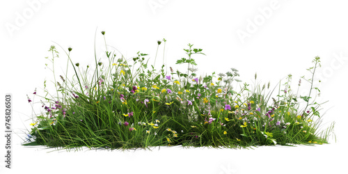 a bush made with grass and wildflowers isolated on transparent background photo