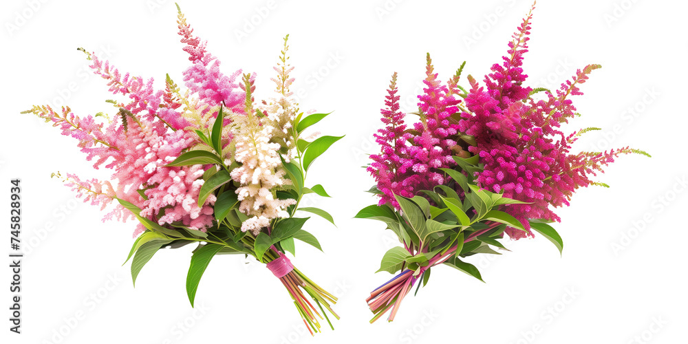 summer season flowers bouquet made with Astilbe isolated on transparent background