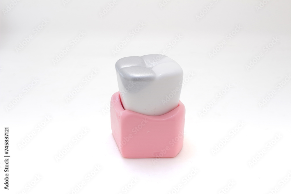 a model teeth, model teeth displaying different