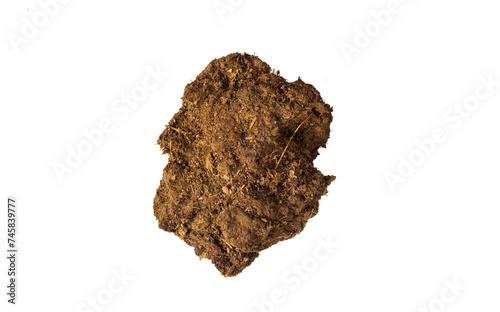 Dry cow dung isolated on white background