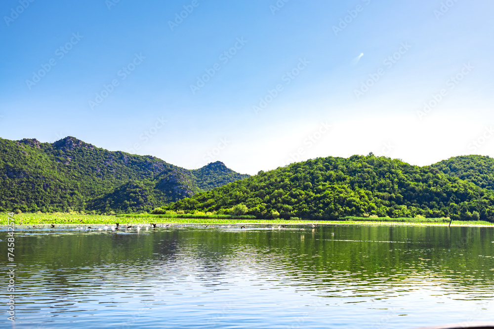 Beautiful views of the Skadar lake in the national park in Montenegro. Beautiful views of the Skadar lake in the national park in Montenegro.