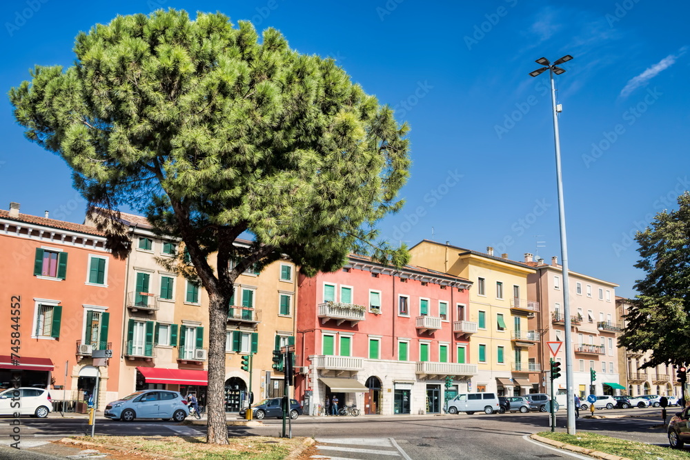 verona, italien - sanierte bunte häuser mit pinie
