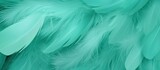 Beautiful soft green turquoise feather texture background. Animal hair concept.