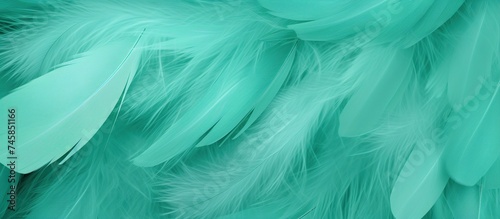 Beautiful soft green turquoise feather texture background. Animal hair concept. photo