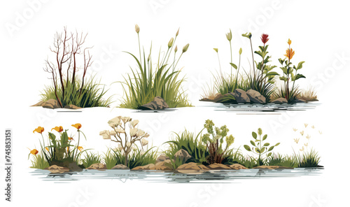 marsh vegetation set isolated vector style with transparent background illustration
