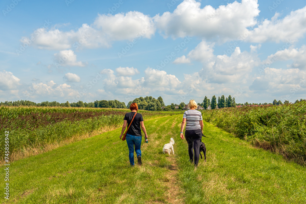 Two unidentified women walk their dogs on a strip of grass with flowering reed plants on either side. The photo was taken in the Dutch province of North Brabant on a sunny day during the summer season