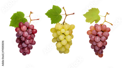 Grape Collection: Realistic 3D Digital Art Illustrations Isolated on Transparent Background, Perfect for Graphic Design Projects and Fresh Fruit Concepts.